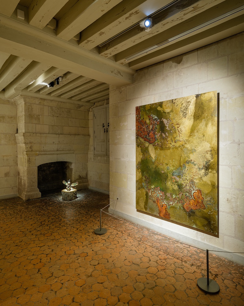Lionel Sabatté - Chambord - photo © Grégory Copitet