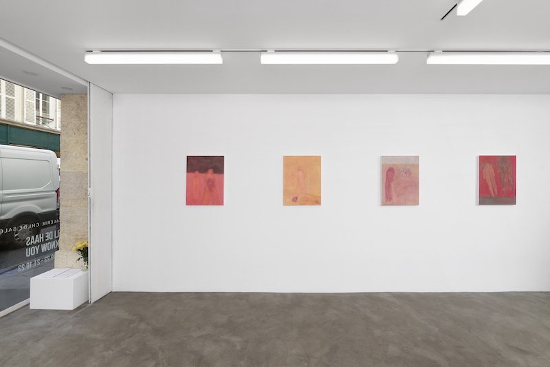 Vue de l'exposition I know you, Eli de Haas - Photo Aurélien Mole - GALERIE CHLOE SALGADO