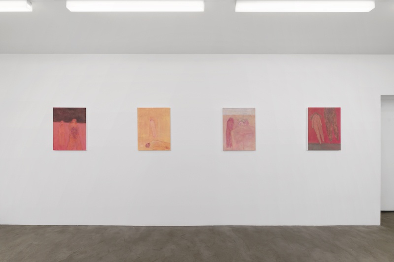 Vue de l'exposition I know you, Eli de Haas - Photo Aurélien Mole - GALERIE CHLOE SALGADO