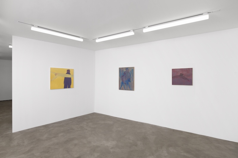 Vue de l'exposition I know you, Eli de Haas - Photo Aurélien Mole - GALERIE CHLOE SALGADO