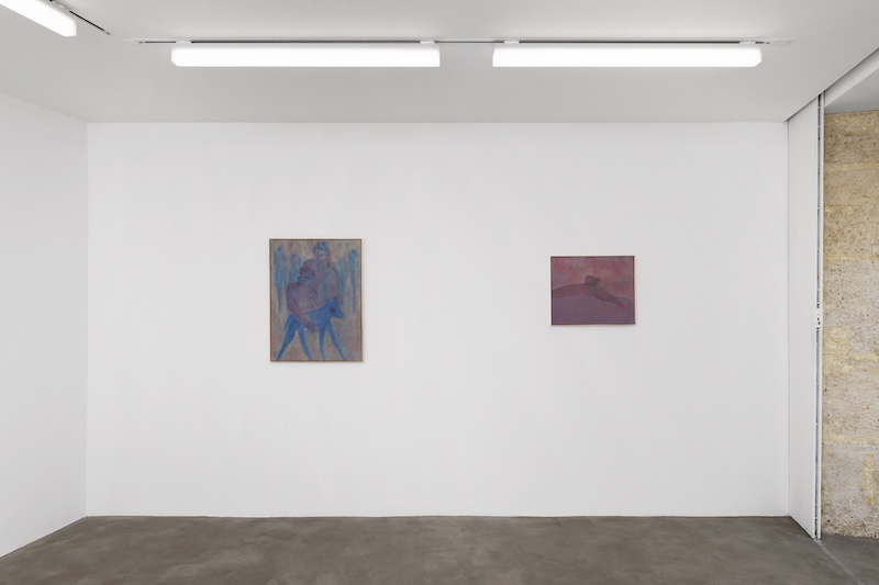 Vue de l'exposition I know you, Eli de Haas - Photo Aurélien Mole - GALERIE CHLOE SALGADO