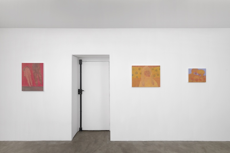 Vue de l'exposition I know you, Eli de Haas - Photo Aurélien Mole - GALERIE CHLOE SALGADO