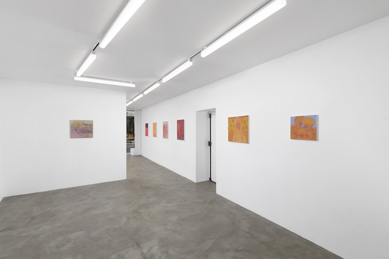 Vue de l'exposition I know you, Eli de Haas - Photo Aurélien Mole - GALERIE CHLOE SALGADO