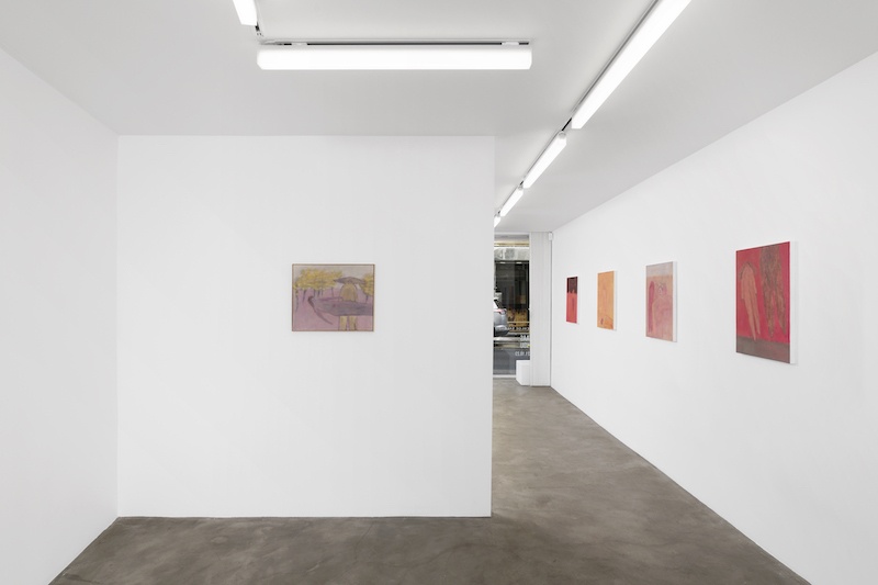 Vue de l'exposition I know you, Eli de Haas - Photo Aurélien Mole - GALERIE CHLOE SALGADO