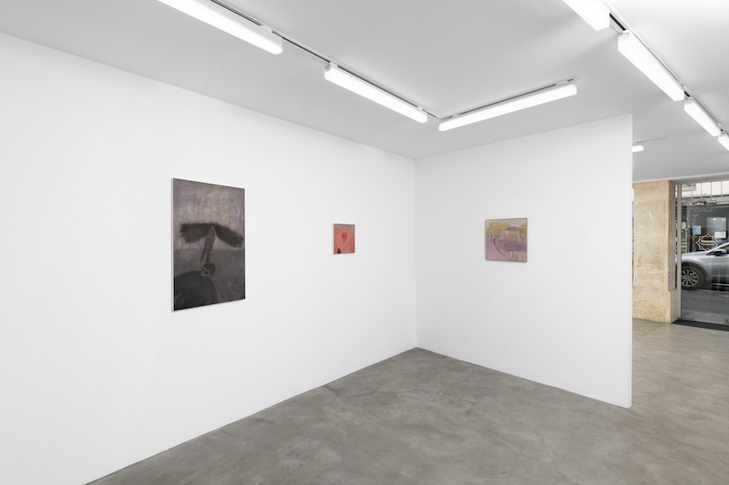 Vue de l'exposition I know you, Eli de Haas - Photo Aurélien Mole - GALERIE CHLOE SALGADO