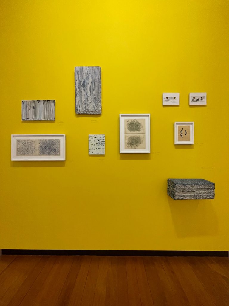 Dominique De Beir, Sans fin mais pas sans début ( Accroc et Caractère 3), Avril 2023, le mur des approbations, musée des beaux-arts de Caen, photographie Adrien Melchior