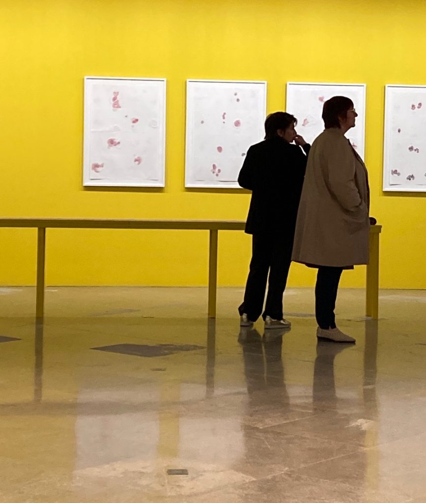 Dominique De Beir, Sans fin mais pas sans début ( Accroc et Caractère 3), Avril 2023, détail cabinet art graphique avec Dominique et anne De Beir, musée des beaux-arts de Caen, photographie Edith Doove