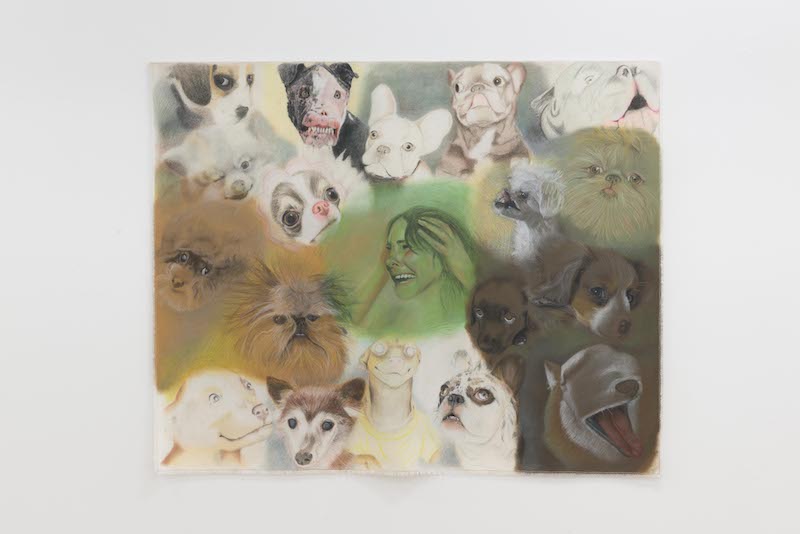 Rosanne Claes, Mundo dos Pets, KOMPLOT, Brussels, photography by Lola Pertsowsky