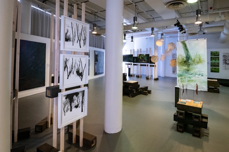 Vue exposition Forêt, Vert Fragile, Bibliothèque Alcazar de la Ville de Marseille - Photographie Edyta Tolwinska