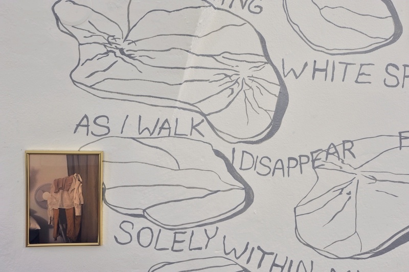 Pamela: Waterlilies, detail. Installation, 2023. Wall painting, poem, photography. Photo: Pavel Petrov, OGV Jihlava.