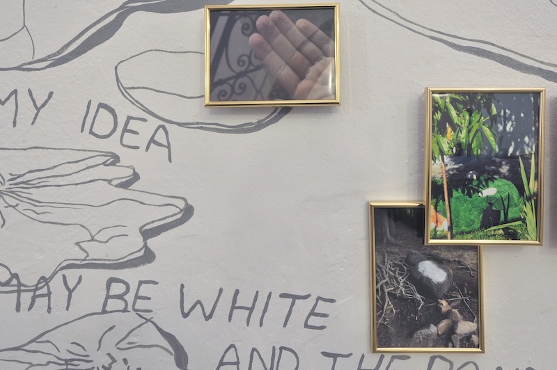 Pamela: Waterlilies, detail. Installation, 2023. Wall painting, poem, photography. Photo: Pavel Petrov, OGV Jihlava.