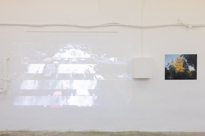 1/ Chute, Marianne Muller, 2024. Projection vidéo, 2 minutes (montée en boucle).
2/ Bord du boulevard périphérique, Olivier de Bohême, Paris 20e, Vincent Dalbera. Série Aux alentours, 2020. Tirage argentique lambda sur papier satiné 70 x 56 cm
Vue exposition Béton ruban, Sample, Bagnolet