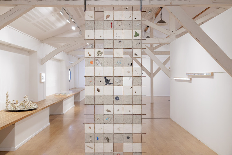 Morgane Porcheron - Grands damiers de trouvailles, 2024.
Installation réalisée dans le cadre de l’exposition REVOIR DEMAIN, jusqu'au 12 avril à la Maison des arts plastiques Rosa Bonheur de Chevilly-Larue.
