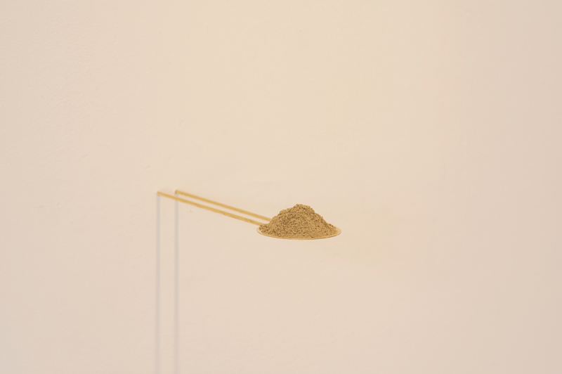 Anais Karenin
MEDIATE PLANTS
Solo exhibition Yebizo International Festival for Arts & Alternative Visions 2023
Kobo Chika Gallery, Tokyo, Japan