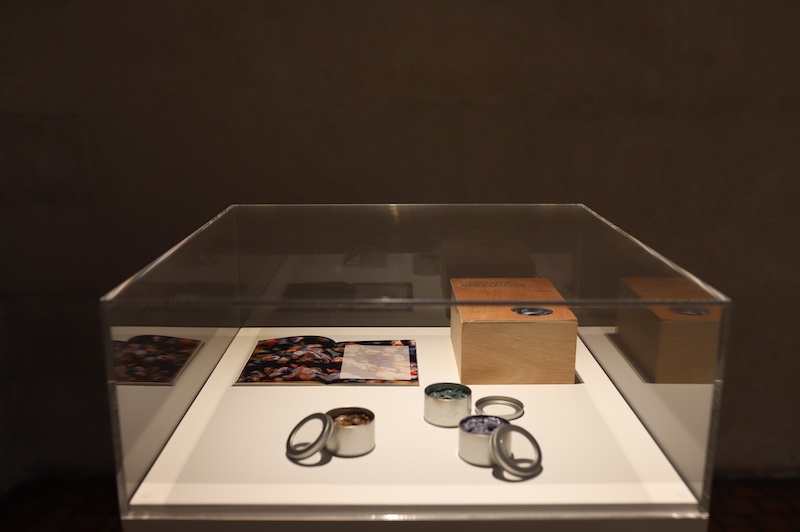Vue exposition Présence sensible, Chloé Jeanne, Château de Tours