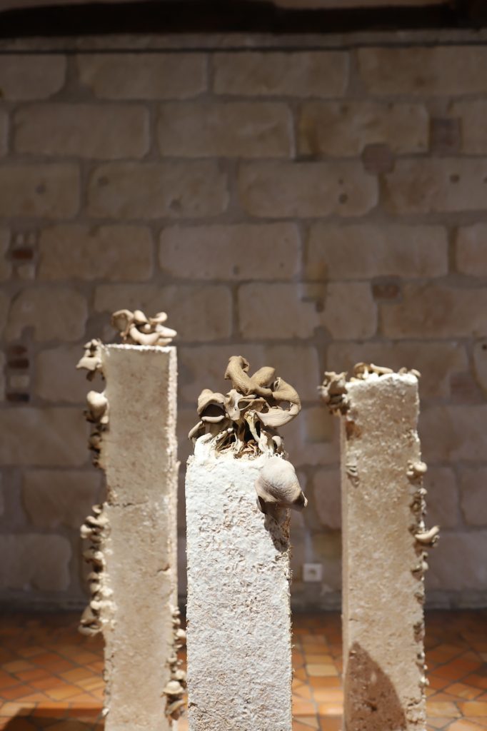 Vue exposition Présence sensible, Chloé Jeanne, Château de Tours
